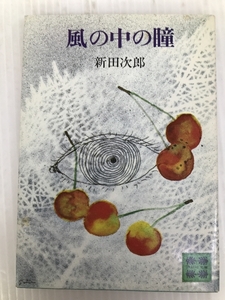 風の中の瞳 (講談社文庫 に 4-6) 講談社 新田 次郎