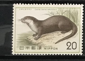 ＜自然保護シリーズ＞「ニホンカワウソ」20円切手（1/2）