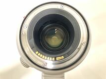 Canon EF100-400F4.5-5.6L IS Ⅱ USM 美品_画像9