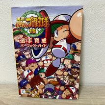 実況　パワフル　プロ野球１５選手育成パーフェクトガイド ファミ通／責任編集　ゲーム　攻略本_画像1