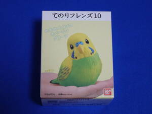 ★【在庫1】 セキセイインコ オパーリングリーン てのりフレンズ10 未開封