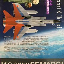 初回特典付 HMA 1/144 MiG-31WX セマルグル 夜光雲のサリッサ (初回特典 セマルグル誕生秘話) 新品・未開封品 プラモデル_画像7