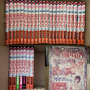 スキップビート 仲村佳樹 漫画 1巻〜28巻 ファンブック 付録