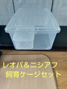 手作り爬虫類ケージセット　レオパ　ニシアフ　最終値下げしました。