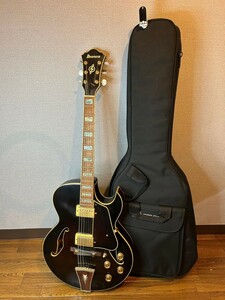 ☆Ibanez ARTCORE series AK95-DVS-12-02 エレキギター