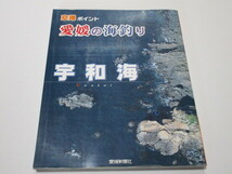 空撮ポイント　愛媛の海釣り　宇和海_画像1