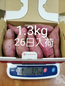 紅はるか　1.3kg　7個　わけあり　熊本県産