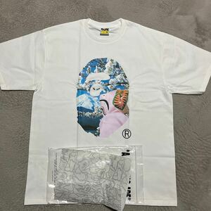 A BATHING APE BAPE KAWS SHARK HEAD PHOTO tee tシャツ　2XL XXL シャーク　BABY MILO STA CAMO LIMITED 限定　Sakura さくら