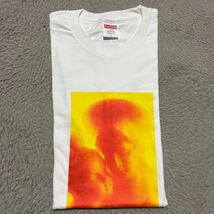  17aw Supreme × Andres Serrano Madonna& Child tee tシャツ 白　ホワイト　L_画像1