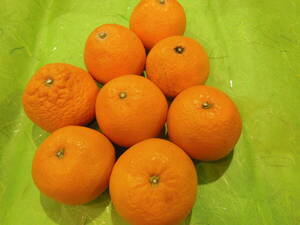 Kiyomi Orange Orange Orange, Wakayama Prefecture Arita, класс Unmarked 3L около 2,2-2,3㎏ 8 Справочник по сахару. Содержание сахара 12,7 градусов