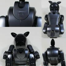 アイボ 販売 ★ メンテナ完 AIBO ERS-210（本体色ブラック） 動画公開中 バッテリーリセル済_画像4