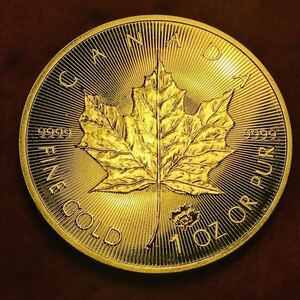 1円スタート〜古銭　カナダ　エリザベス2世記念　2021年 大型金貨　メイプルリーフ金貨 カプセル付き
