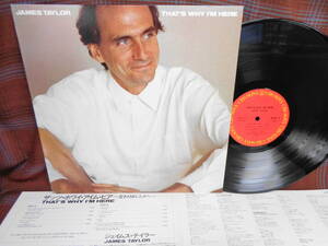 L#4397◆LP◆ ジェームス・テイラー ザッツ・ホワイ・アイム・ヒア 変わりゆく人々へ JAMES TAYLOR That's Why I'm Here 28AP 3113