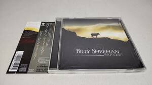 D4175 『CD』　ホーリー・カウ!　/　ビリー・シーン 　 BILLY SHEEHAN 国内盤　帯付　