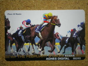 I226AAa*MF-1000940 UGG nes digital horse racing unused 50 frequency telephone card 