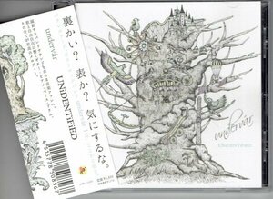 undervar アンダーヴァー「UNiDENTiFiED」 2013年　　ユータローex.ゼリ→,LAID BACK OCEAN　美品帯付きCD・送料無料