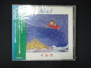 1030 未開封CD Noel/イルカ ※ワケ有