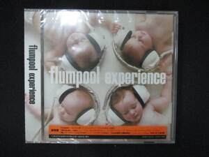 1034★未開封CD experience /flumpool