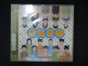 1036 未開封CD CXCO/チェキッ娘 ※ワケ有