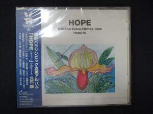 1039 未開封CD HOPE ※ワケ有