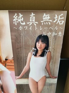 山中知恵写真集 純真無垢 -ホワイトレーベル