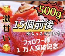 真空パック包装！12粒前後入り　肉厚でとてもジューシー　冷凍でもおいしい　激甘特選干柿500g_画像1