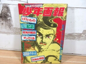 2M1-3「少年画報 1970年 25号 昭和45年」けだもの/どぶ/狂気の集団/キックの鬼/9の1 漫画 雑誌 当時物 現状品 