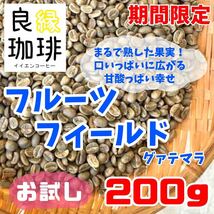 ブラジル100g グァテマラ100g_画像1