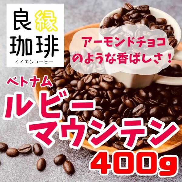 ベトナム アラビカ ルビーマウンテンG1 400g 自家焙煎 コーヒー豆 珈琲豆 coffee