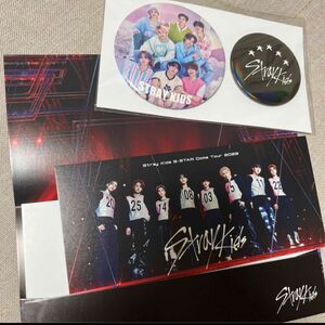 straykids アプグレ特典 缶バッチ&ピクチャーチケットケース セット