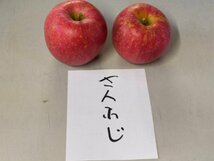 【数量限定】サンふじ 訳あり3kg 青森県産 りんご【6012】_画像2