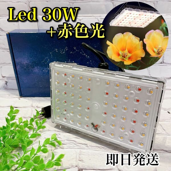 【お買い得】LED 植物育成ライト 栽培ライト 赤色光 フルスペクトル 家庭菜園