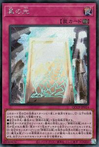 遊戯王カード 真の光(シークレットレア) QUARTER CENTURY CHRONICLE side：PRIDE（QCCP） 永続罠 シークレット レア