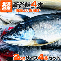 計8kg 鮭 姿 2kg×4尾 送料0円 新巻鮭 塩漬け 塩鮭 塩引き鮭 中辛 新巻 秋鮭 しゃけ サケ さけ 母の日 父の日 お彼岸_画像1