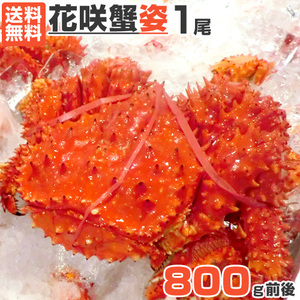 花咲ガニ 1尾 800g前後 送料0円 花咲蟹 ハナサキガニ 花咲がに カニ かに 蟹 ボイル 特大 北海道 根室 母の日 父の日