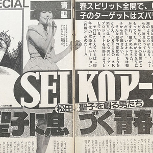 切り抜き 4P■松田聖子 SEIKOアーミーが語る 記事/80年代　YG40