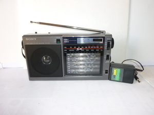 sony ICF-EX5