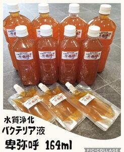 水質浄化バクテリア液 卑弥呼 お試しサイズ164ml