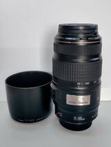 良品☆CANON キャノン ZOOM LENS EF 75-300mm 1:4-5.6 IS レンズ キャップ 純正フード 保護フィルター 付き/一眼レフ カメラ MADE IN JAPAN_画像1