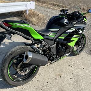 KAWASAKI NINJA ニンジャ 250(EX250L)の画像3