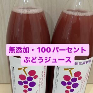 我が家のぶどうだけで作った 濃厚ぶどうジュース無添加100% 2本セット 令和5年新物