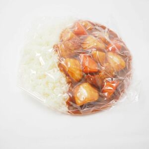 未使用 野菜カレー 食品サンプル 皿盛り用 幅19 高さ最大4 実物大 展示 ディスプレイ HO169