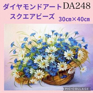 DA248★ダイヤモンドアートキット★スクエアビーズ