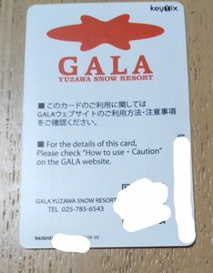 即発送 GALA（ガーラ）湯沢スキー場1日リフト券（ICカード） 1枚　各種サービス割引特典付き2023-2024年