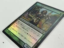 H21◆貴族の教主 Noble Hierarch◆FOIL MTG マジックザギャザリング 日本語 1枚 コンフラックス CON_画像5