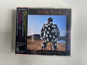 Tt980◆～PERFECT LIVE！◆CD ロック PINK FLOYD/ピンク・フロイド Delicate Sound of Thunder 2枚組 送料185円