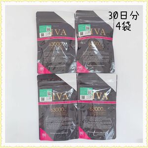 MVA アルギニン シトルリン 63,000mg 180粒 4袋