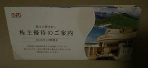 日本駐車場開発　株主優待　紙　アクティビティ割引券3枚　