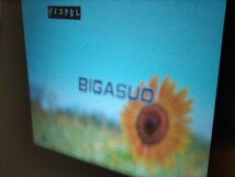 通電確認! BIGASUO B-302TX プロジェクター DVDプレーヤー内蔵 地デジTVチューナー搭載 8500ルーメン 一体型 ホームシアター BCASカード付 _画像5