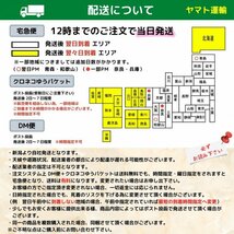 【WGA】メダカ【ミックスメダカ 300匹】業務用 餌用 おまかせ ランダム めだか 目高 生体 幹之フルボディ 紅帝と同梱可能_画像7